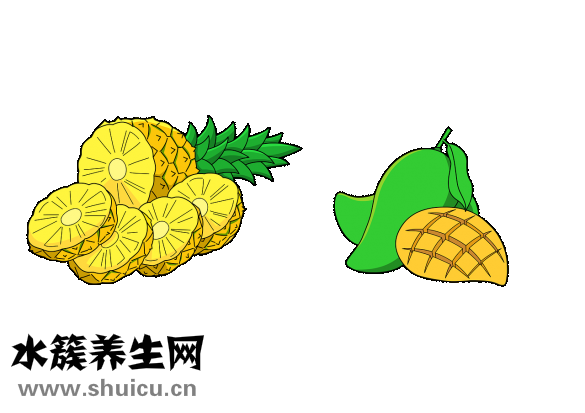 體內驅蟲藥怎么喂