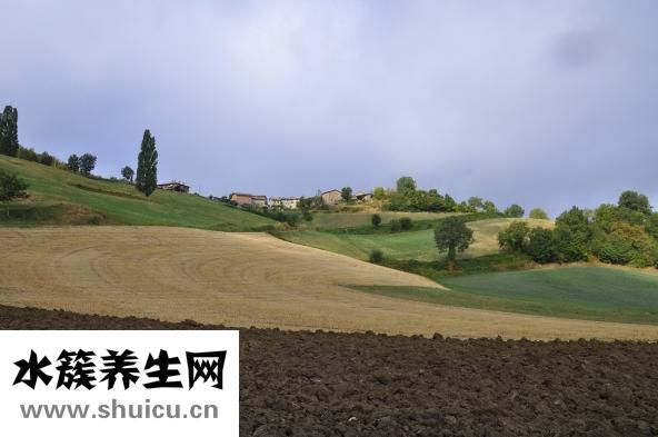 一天沒大便怎么辦