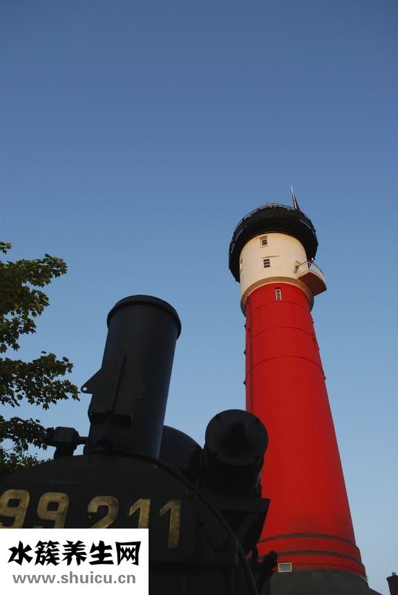 加濕器要怎么用