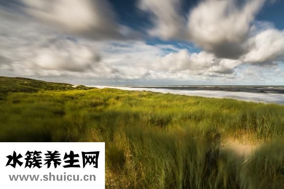 傷疤紅色怎么淡化