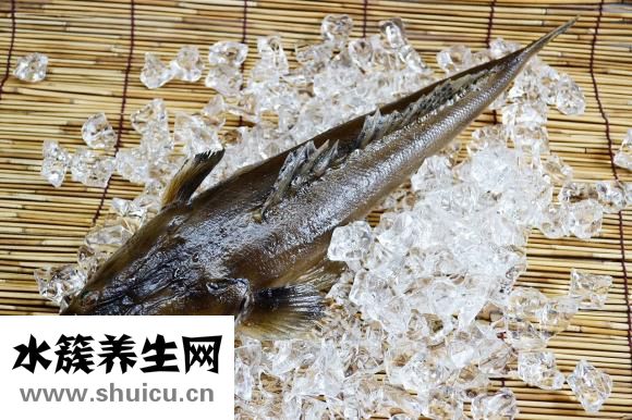 體內驅蟲藥怎么喂