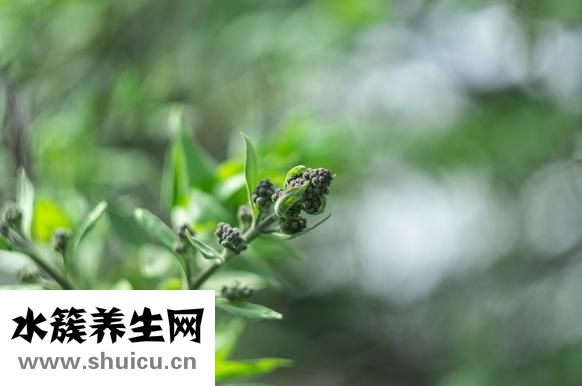 凍草莓怎么做草莓醬