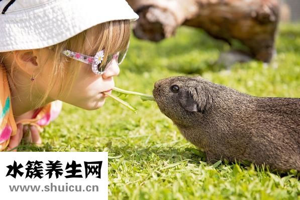 雙子女怎么追天秤男