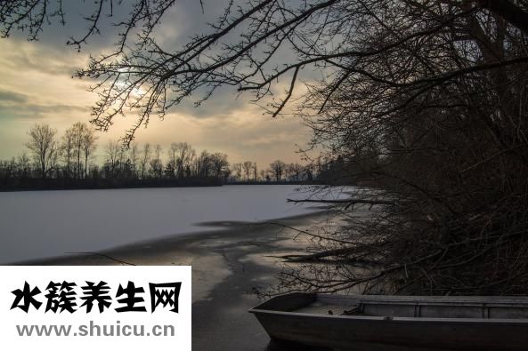 冷凍湯圓怎么煮