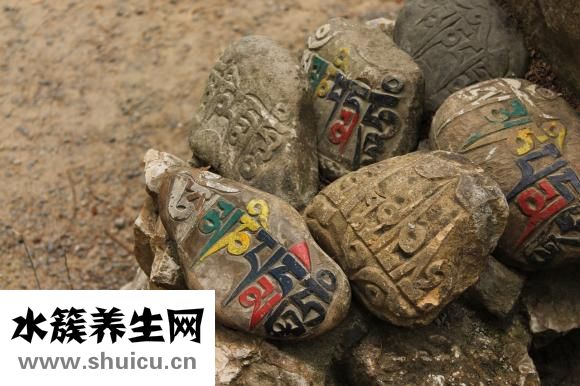 佛手觀音花怎么養(yǎng)殖