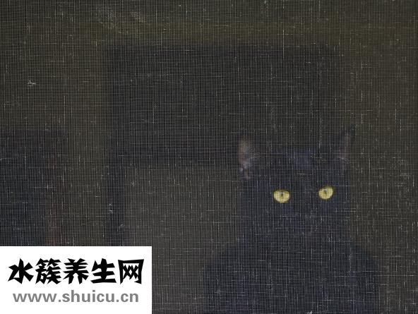 上夜班眼睛疼怎么辦