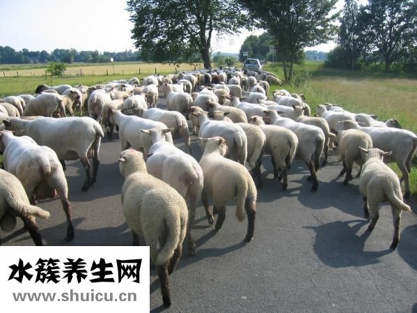 冷凍螃蟹怎么解凍