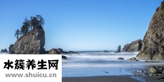 不認識字怎么辦