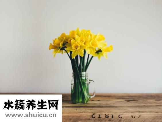 一天沒大便怎么辦