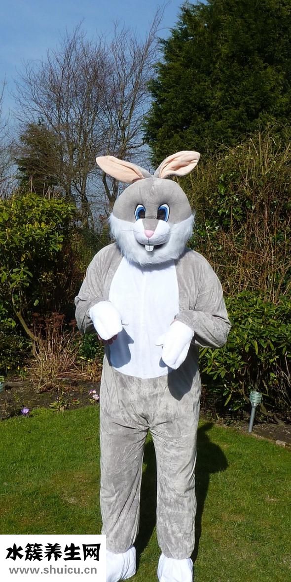 兔子乳酶生片怎么喂