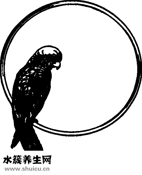 優莎娜保健品怎么吃