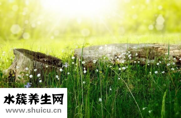 什么是逼怎么玩