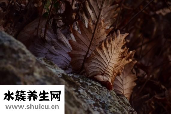 嗓子一側疼怎么辦