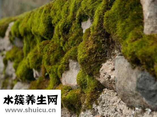 冬天屋里怎么取暖