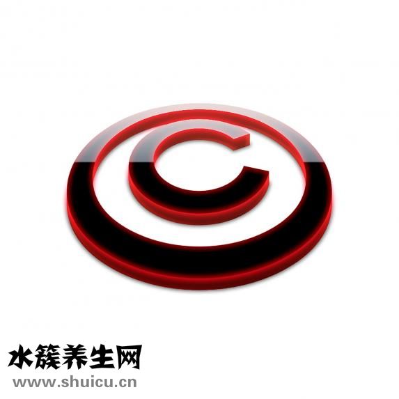 南洋人參怎么吃