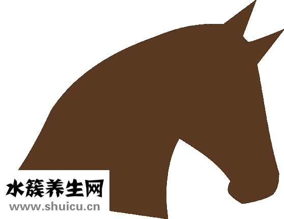 冬天頭皮癢怎么回事