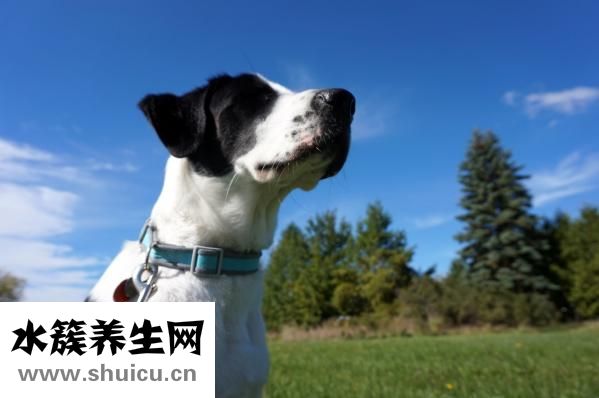 初中生沖動怎么辦