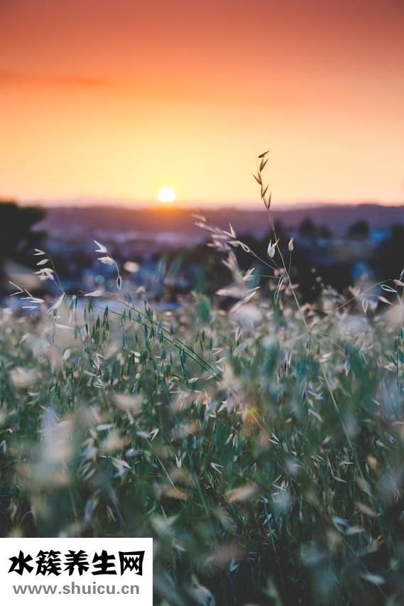 兒子父親吵架怎么辦