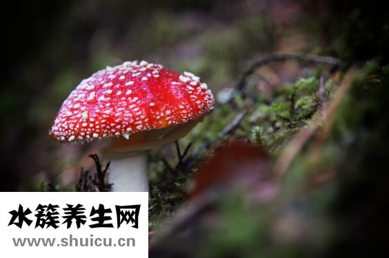 體虛肝火旺怎么調理