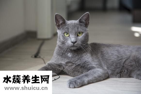 養五筆是是怎么拆的