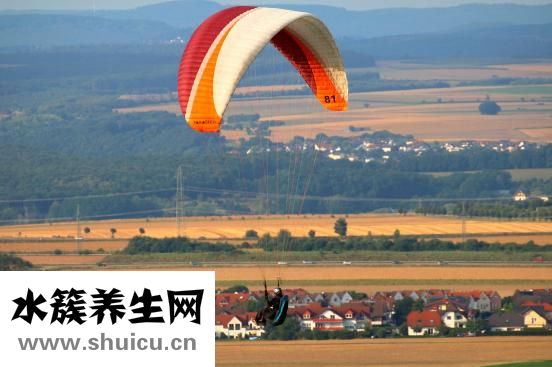 三線倉(cāng)鼠怎么訓(xùn)練