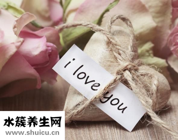 兒子父親吵架怎么辦