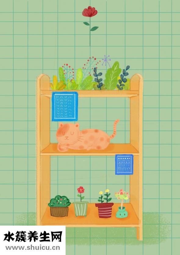 上課插話怎么辦