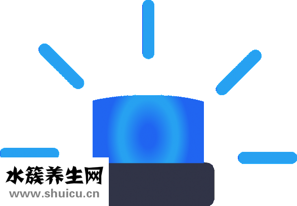 中藥藥引子怎么用