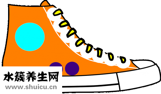 南洋人參怎么吃