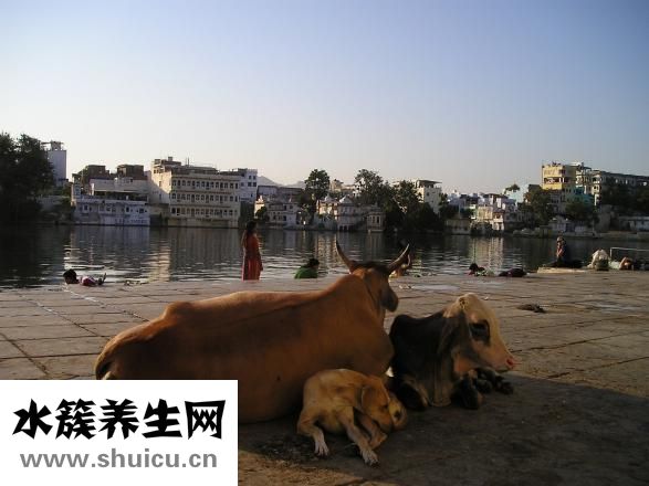 導(dǎo)師不牛怎么辦