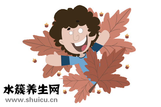 兒子英語怎么寫