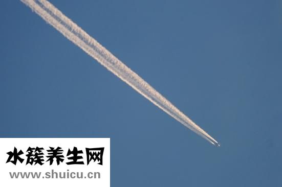 胡子發黃是怎么了