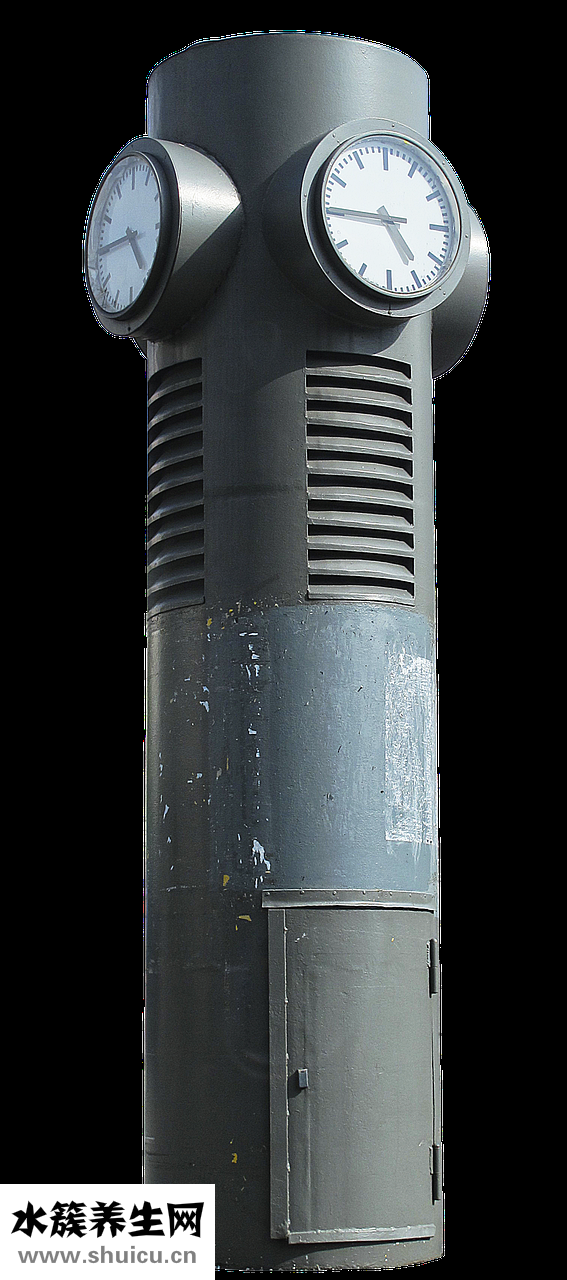 夏天大蔥怎么保存