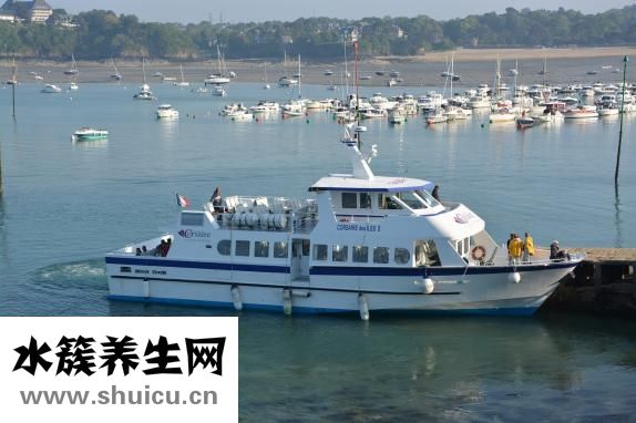 九爾口爽怎么使用