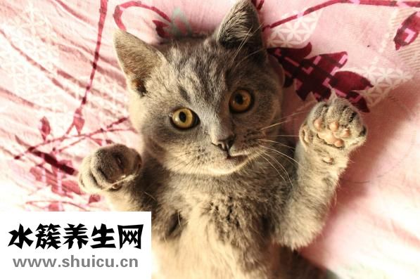 冬天宿舍太冷怎么辦