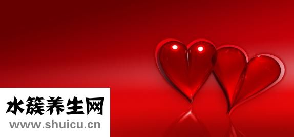 圣誕紅怎么種植