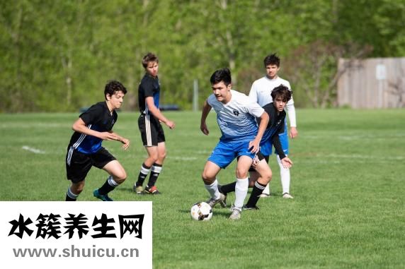 京巴狗怎么訓練