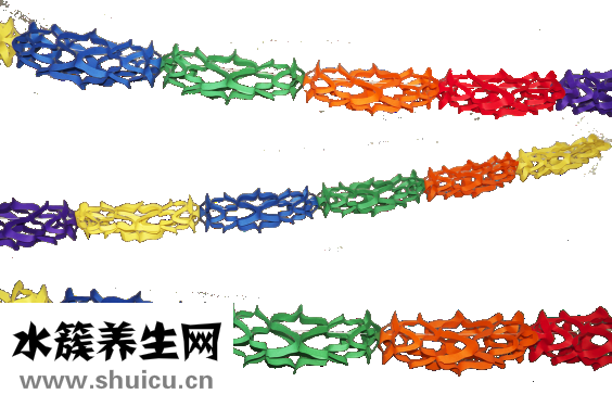 江鯉魚(yú)怎么做好吃