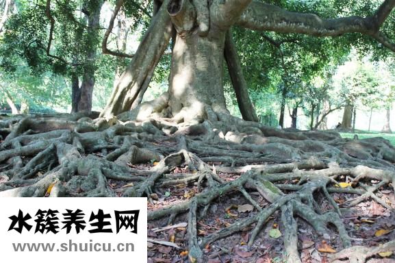 怎么練丹田發聲