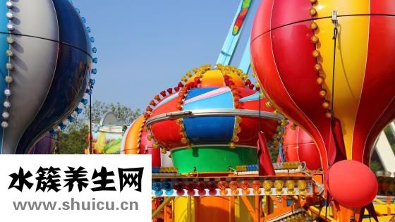 小蝎子蛻皮怎么投食