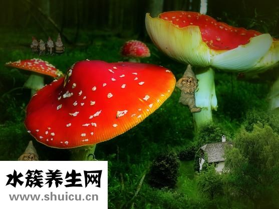 體虛肝火旺怎么調理