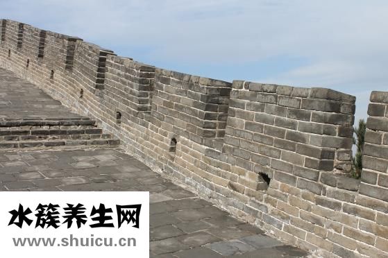 假睫毛膠水怎么涂