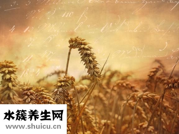 非常人脈加人怎么進