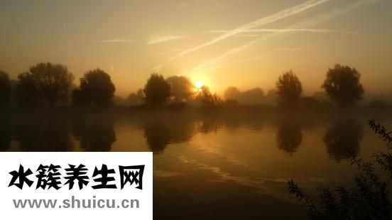 不愛懷孕怎么辦