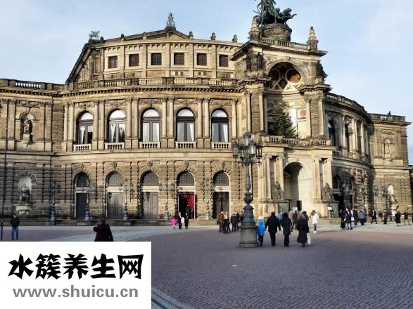 九龍蟲怎么浸酒喝