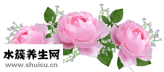 六神花露水怎么打開