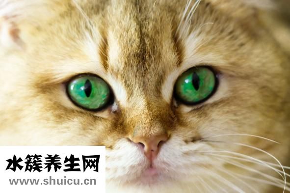 手有點腫是怎么回事