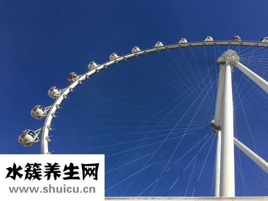 怎么安裝義眼片