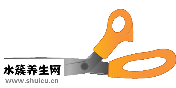 寶寶指甲怎么剪