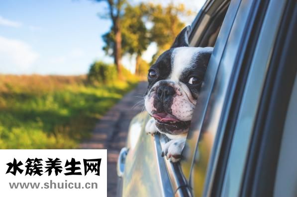 怎么可以變成雙眼皮